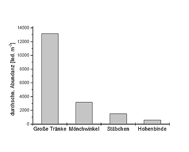 Abnahme filtrierender Taxa im Laufe einer Selbstreinigungsstrecke